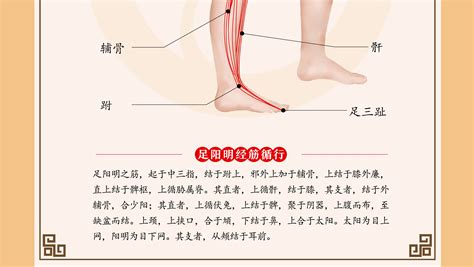 經筋師 歷史年代口訣